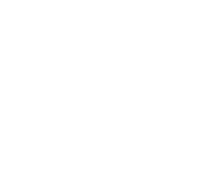 Pardesia logo